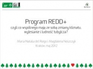 REDD. Program ograniczania deforestacji i degradacji lasów w krajach rozwijających się.